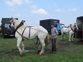 IMG_5547