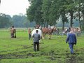 IMG_5548