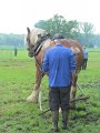 IMG_5551