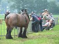 IMG_5552