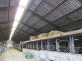 IMG_5565