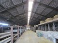IMG_5566