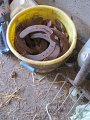 IMG_5567