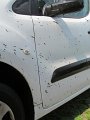 IMG_5628