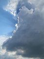 IMG_5637