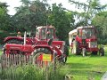 IMG_5651