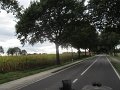 IMG_8632
