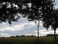 IMG_8633