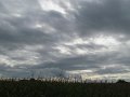 IMG_8634