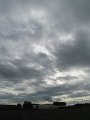 IMG_8635
