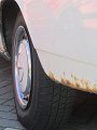 IMG_8843