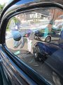 IMG_8883