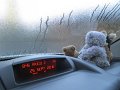 IMG_8290