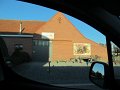 IMG_8296