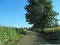 IMG_8313