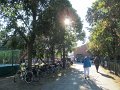 IMG_8318