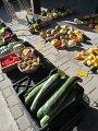 IMG_8357
