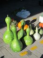 IMG_8358