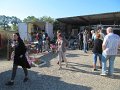 IMG_8377