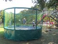 IMG_8441