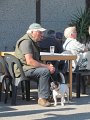 IMG_8443