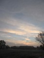 IMG_0451