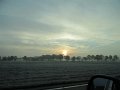 IMG_0466