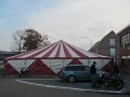 IMG_0501