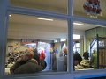 IMG_0516