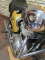IMG_0582