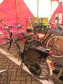 IMG_0631