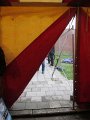 IMG_0699