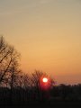 IMG_8585