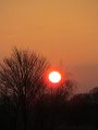 IMG_8586