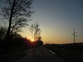 IMG_8595