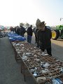 IMG_8672