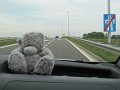 IMG_0003