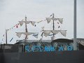 IMG_9623