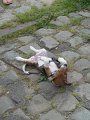IMG_9642