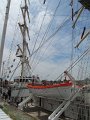 IMG_9646