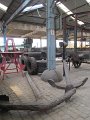 IMG_9749