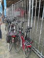 IMG_9795
