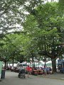 IMG_9807