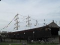 IMG_9816