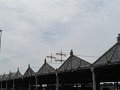 IMG_9819