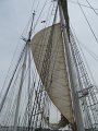 IMG_9884