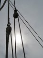 IMG_9895
