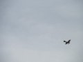 IMG_9946