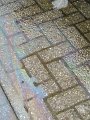 IMG_0277