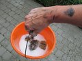 IMG_0283